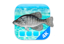 Aquarium 4K for Mac v1.0.5 高清桌面壁紙 破解版下載