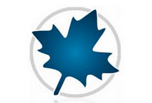 Maplesoft Maple 2024 for Mac 中文激活版下載 crack