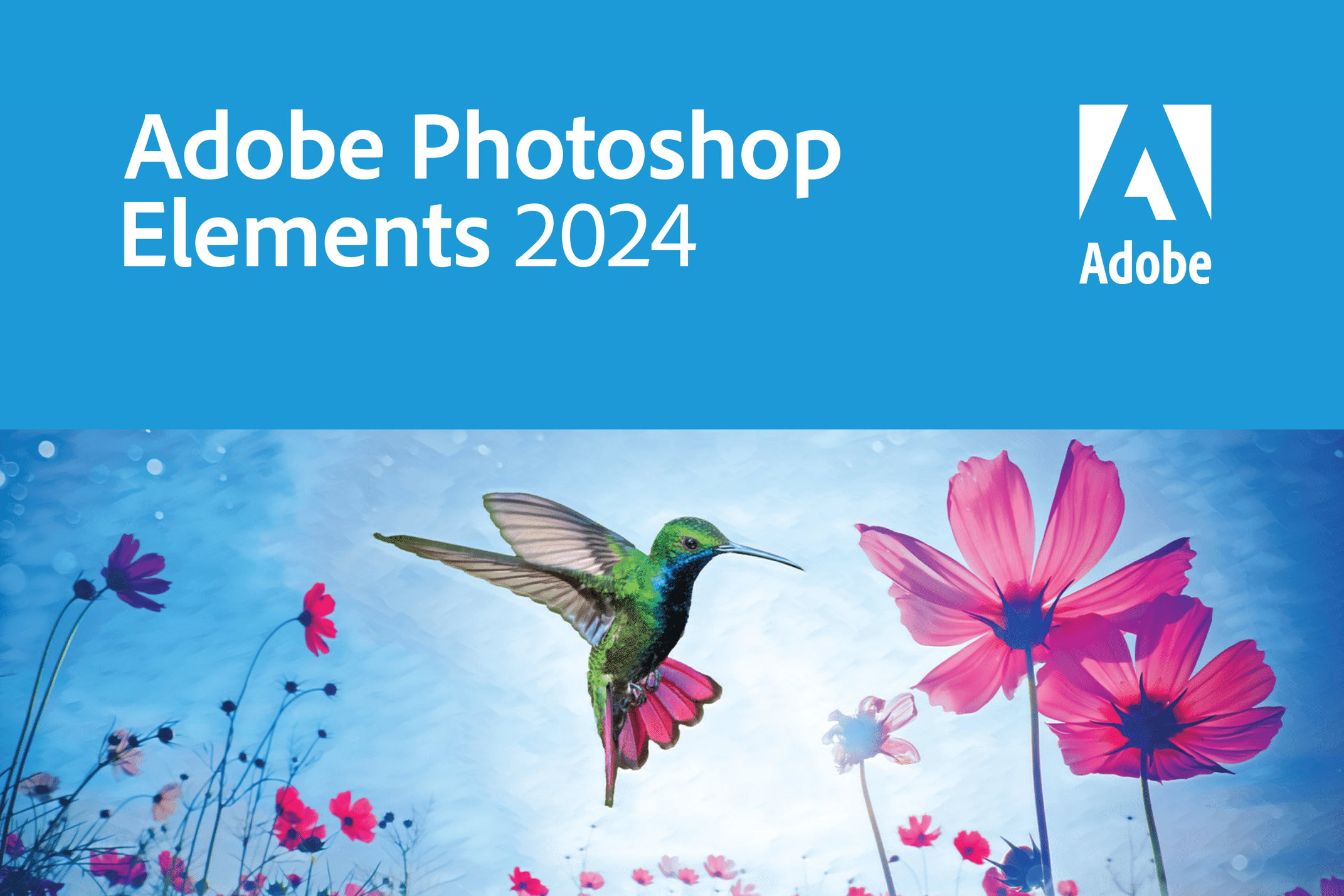 Photoshop Elements 2024 v24.2 繁體中文PS簡化破解版下載