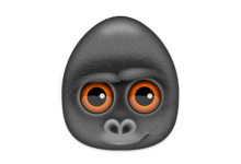 Debookee for Mac v8.1.6 破解版下載 數據包捕獲和網絡分析器