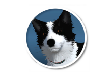 告別北方 Farewell North for Mac v1.0.18 開放世界冒險遊戲