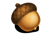 Acorn for Mac v7.4.6 Mac台灣破解檔下載 crack